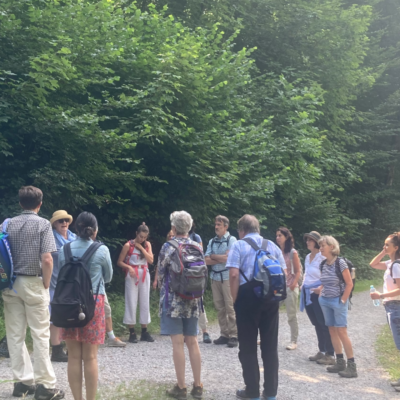 N E T ( T ) W A L K I N G – ÄRTZLICHE NETZWERKWANDERUNG „LET’S TAKE CARE TOGETHER“