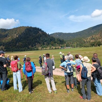 Net(t)walking: ärztliche Netzwerkwanderung 2024 in Menzenschwand